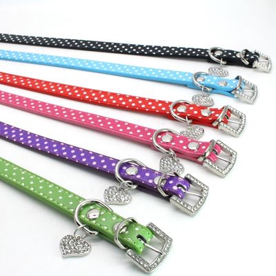 fashion dog collars and leashes
