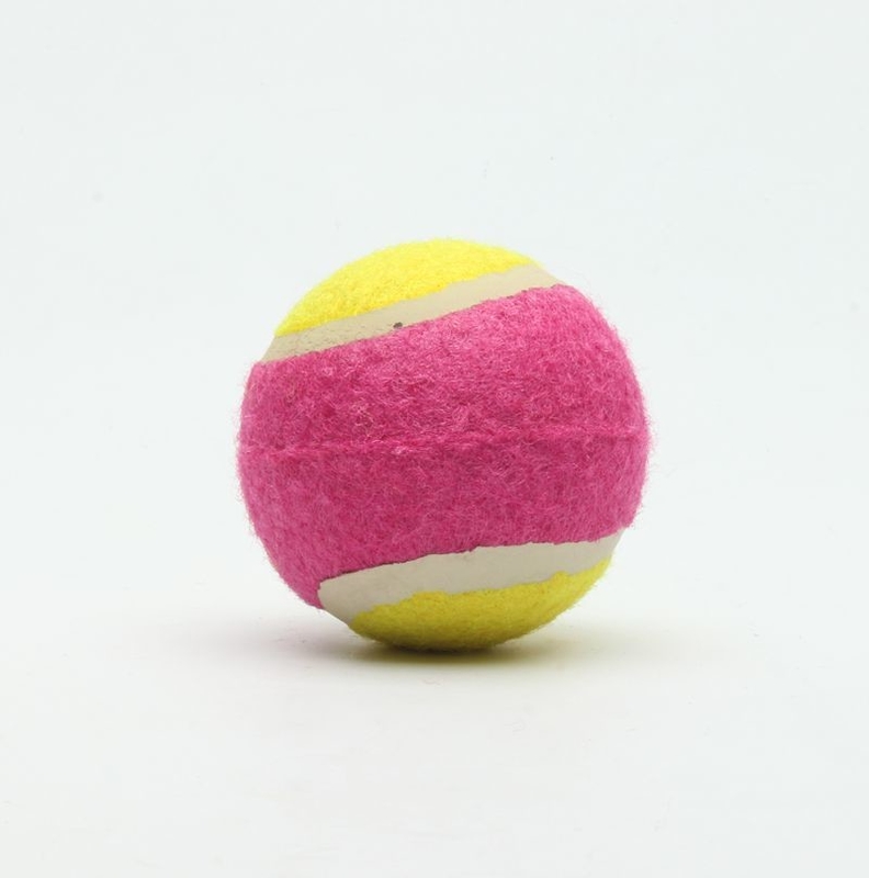 Christmas Plastic Chew Toys For Dogs Indestructable Dog Fetch Ball Set