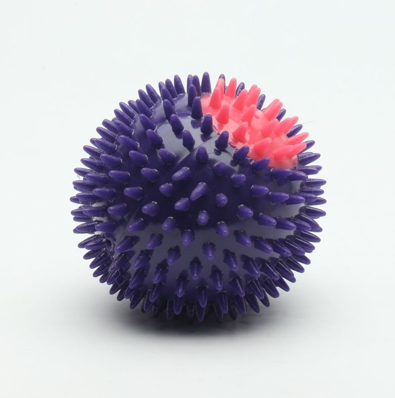 Great Gift TPR Plastic Squeaky Dog Balls Eco - Friendly Customized Color
