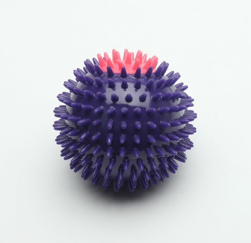 Great Gift TPR Plastic Squeaky Dog Balls Eco - Friendly Customized Color