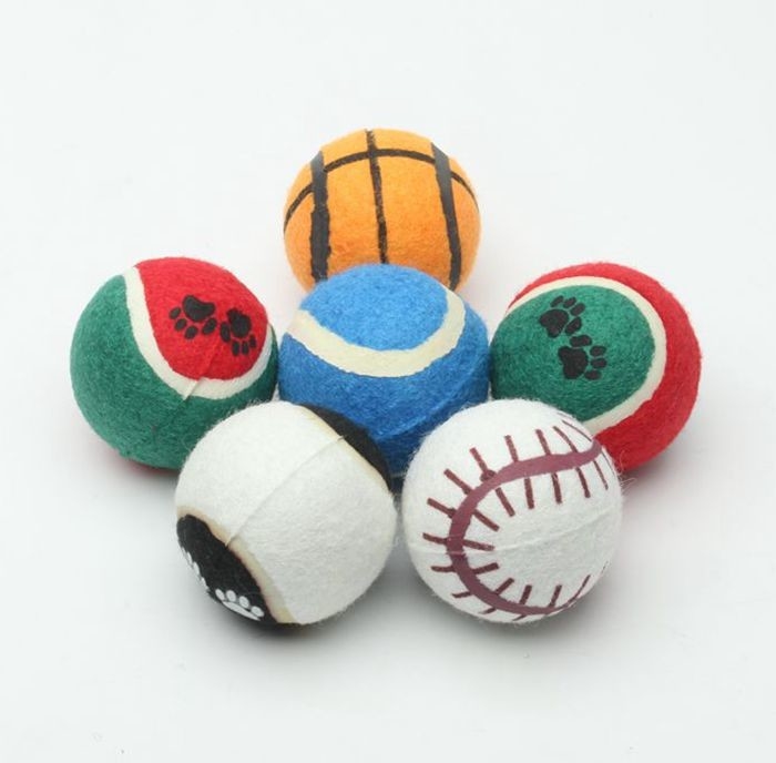 cheap Tennis ball pack custom printed tennis balls for dog fetch