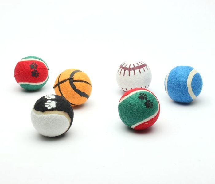 cheap Tennis ball pack custom printed tennis balls for dog fetch